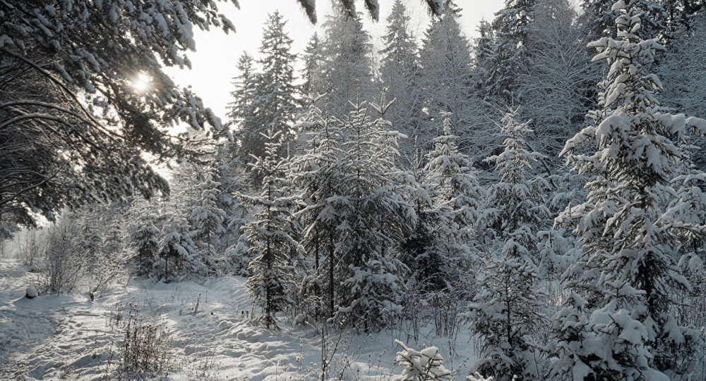 Ziemas pasaka: cik bieži Latvijā bijuši balti ziemassvētki