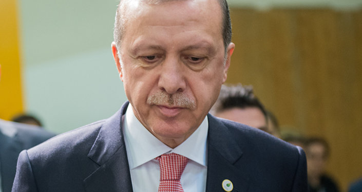 Turcijas prezidents Redžeps Tajips Erdogans. Foto no arhīva Turcijas prezidents Redžeps Tajips Erdogans. Foto no arhīva