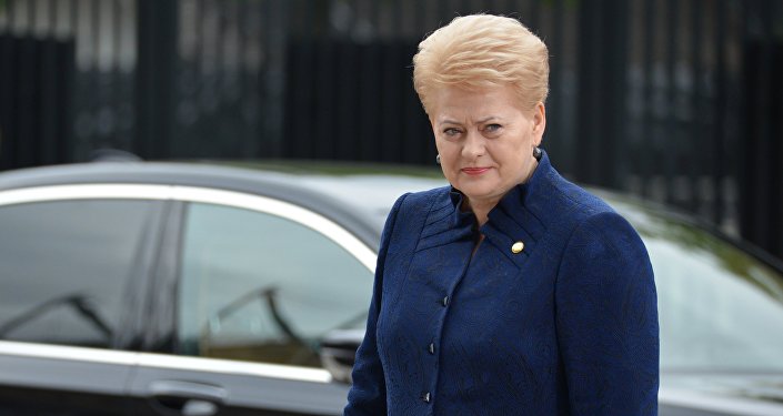 Президент Литвы Даля Грибаускайте Президент Литвы Даля Грибаускайте