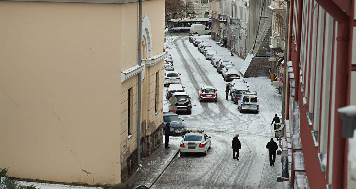 Фото птиц зимой лазоревка