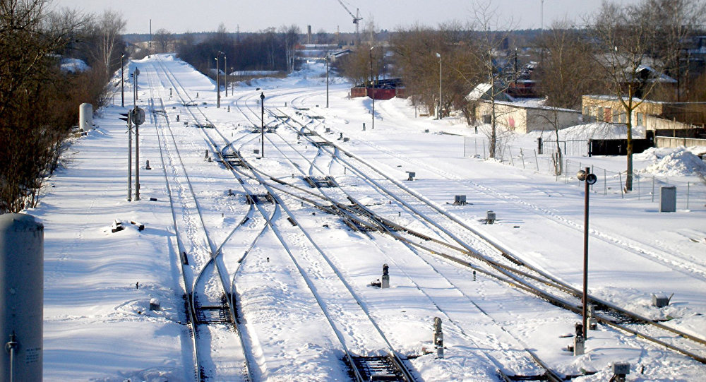 Lemešonoks: katrs vagons no Krievijas atgādina par Latvijas tranzīta agoniju