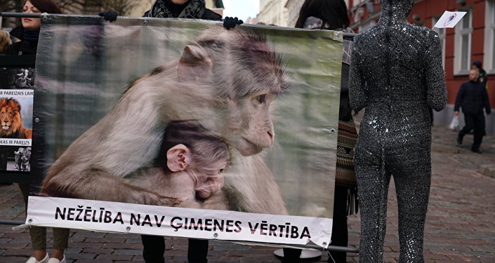 В цирках Латвии запретили использовать диких животных