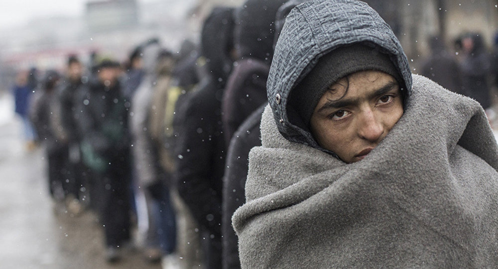 Berlingske: эксперт по беженцам призывает Европу закрыть границы
